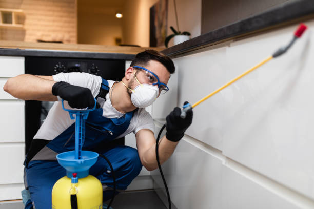 Best Affordable Pest Control Services  in Forest Glen, MD