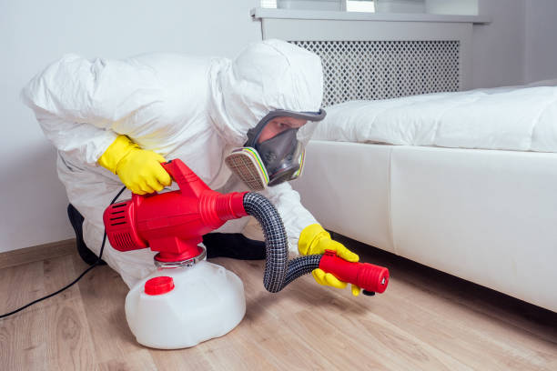 Best Mosquito Control Services  in Forest Glen, MD