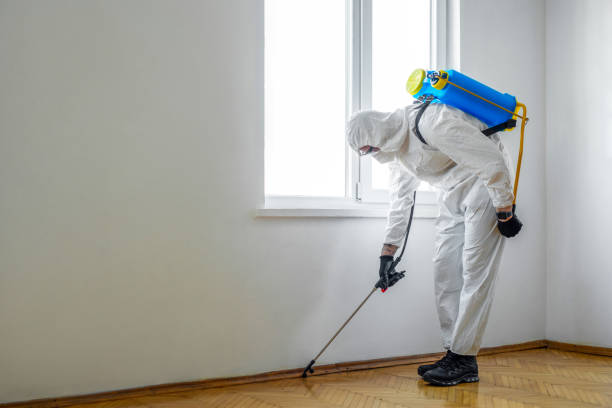 Best Local Pest Control Services  in Forest Glen, MD