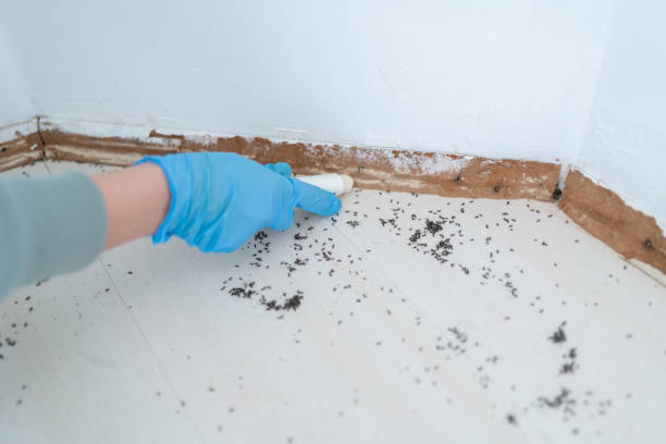 Forest Glen, MD Pest Control Company